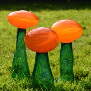 Helen Twigge-Molecey - Fungi orange (Glass)
